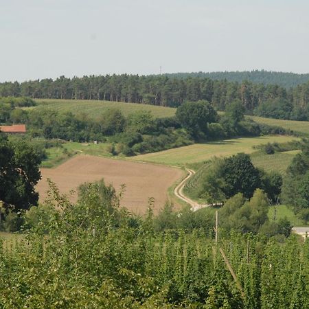 Ferienwohnung Passivhaus "Schoene Aussicht" Georgensgmund Zewnętrze zdjęcie