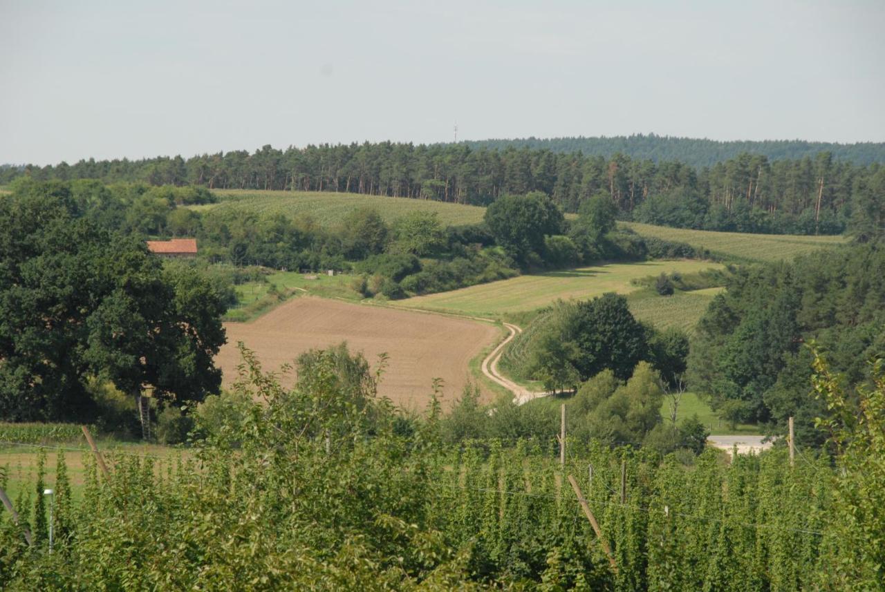 Ferienwohnung Passivhaus "Schoene Aussicht" Georgensgmund Zewnętrze zdjęcie